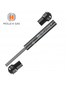 MOLLA A GAS DACIA Duster...