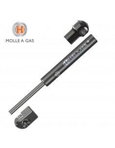 MOLLA A GAS CITROEN C4 I...